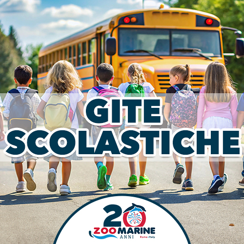 Gite Scolastiche Giardino Zoologico Zoomarine Roma Italia, Studenti Scuole